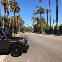 Отзыв от Анатолий - виза ДТВ